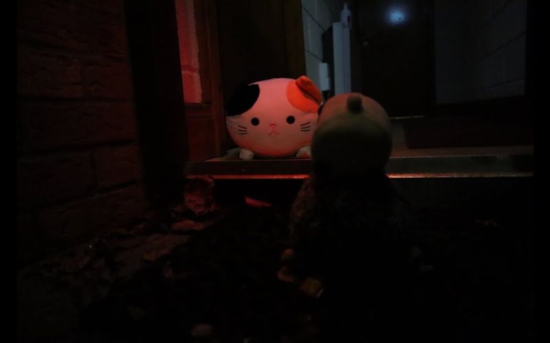 Photo Story | Animal Instinct 